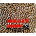 BCB Coating 500g
